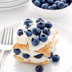 Easy Blueberry Dessert