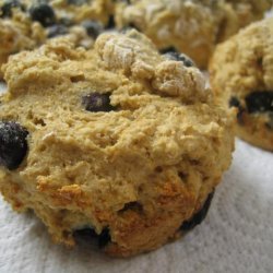 Fat Free, Sugar-Free Whole Wheat Blueberry Muffins
