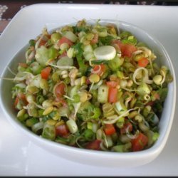 Indian Sprouted Lentil Salad