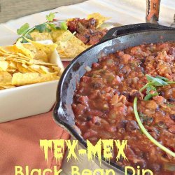 Tex-Mex Black Bean Dip
