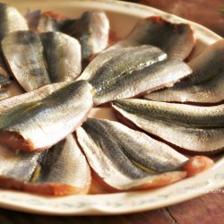 Marinated Sardines