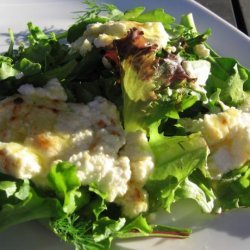 Spanish Tapas - Grilled Goat's Cheese on Bed of Lettuce