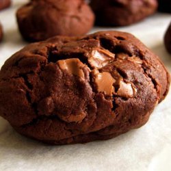 Chocolate Cookies With Chocolate Covered Raisins