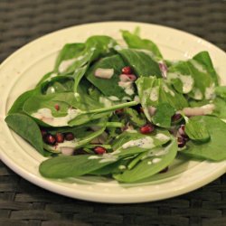 Pomegranate and Poppy Seed Salad