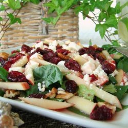 Cranberry Apple-Spinach Salad