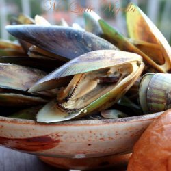 Belgian Mussels