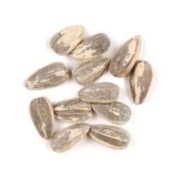 Salted in the Shell Sunflower Seeds