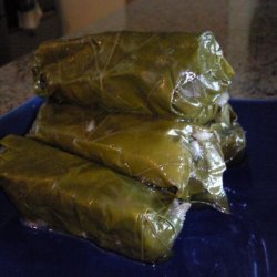 Dolmades With Avgolemeno Sauce
