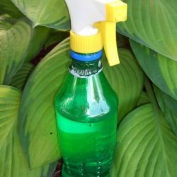 All-Natural All-Purpose Cleaning Spray