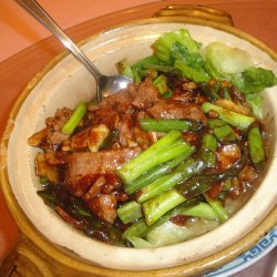 Sizzling Beef and Scallions