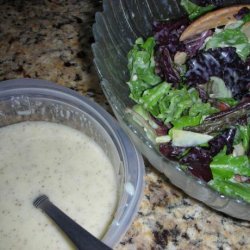 Onion and Mustard Spinach Salad Dressing
