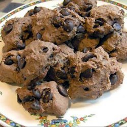 Chocolate Oat Bran Cookies With Chocolate Chips