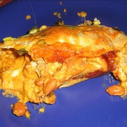 Saturday Night Chicken, Cheese and Refried Bean Enchiladas