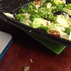 Bug Salad