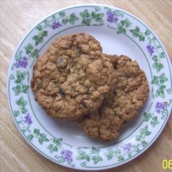 Crispy, Crunchy, Chewy Oat Choco Chip Cookies