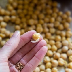Roasted and Spiced Chickpeas