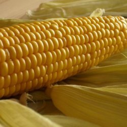 Oven Roasted Corn on the Cob
