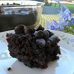Allergy Friendly Double Chocolate Brownies
