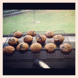 Blueberry Muffins (1 Ww Point Each)