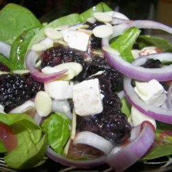 Spinach and Blackberry Salad - for One