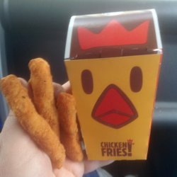Burger King Chicken Fries