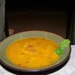 Spicy Savory Pumpkin Soup