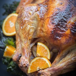 Thanksgiving Brined & Roasted Turkey