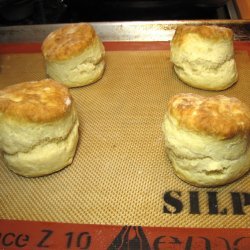 Great Biscuits
