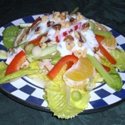 Chicken and Orange Salad