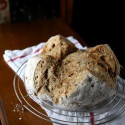 German Rye Bread With Caraway Seeds
