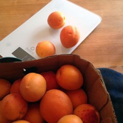 Apricot - Lemon Jam