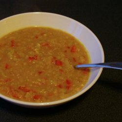 Indian Spiced Lentil Soup
