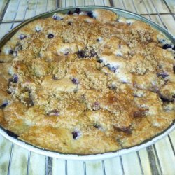 Low Fat Blueberry Coffee Cake