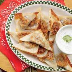 Mexican Potstickers