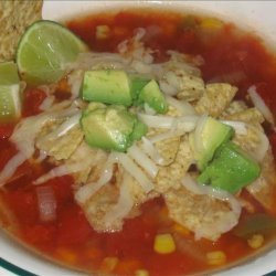 Tex-Mex Chicken Tortilla Soup