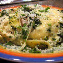 Spinach Lasagna With White Sauce