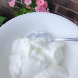Homemade Thick Vanilla Yogurt