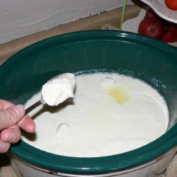 Crock Pot Yogurt