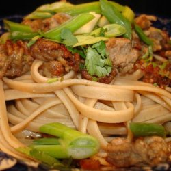 Hot and Spicy Szechuan Noodles (Dan Dan Mian)
