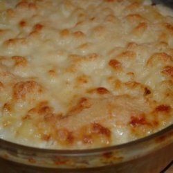 Macaroni and Fontina Cheese
