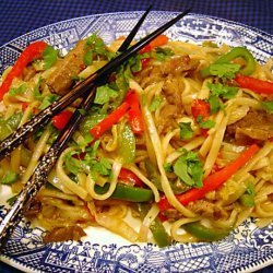 stir fried noodles with curried lamb