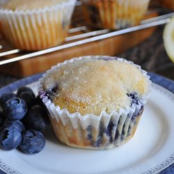 Best Blueberry Muffins in the World!!