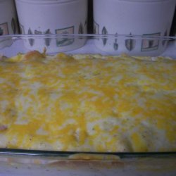 Sarah's Beef Enchiladas With Chicken Soup