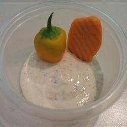 Spicy Ranch Dressing II