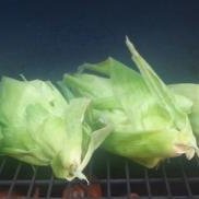 Paprika-Lime Corn on the Cob