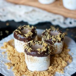 S'more Shooters