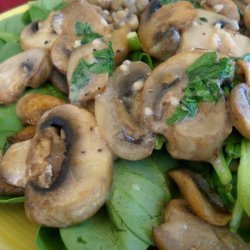 Sauteed Mushrooms on Red Wine Vinaigrette Spinach Salad