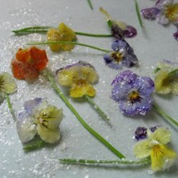 Candied Violets