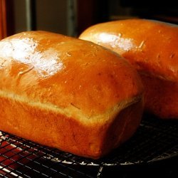 Bahamas Bread