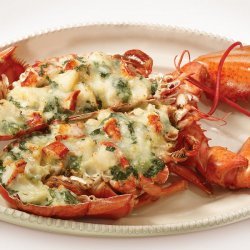 Lobster Au Gratin
